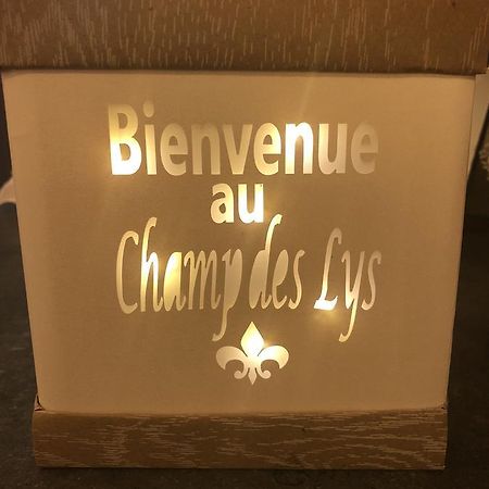 Le Champ Des Lys Hotel Amancey Eksteriør billede